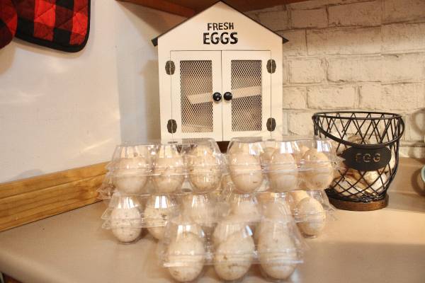 Duck eggs, large, white 1