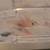 Axolotl 1 thumbnail