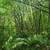 Secluded 5 Acres Overlooking Abernathy Creek 11 thumbnail