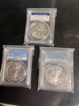 American  Eagles : Burnished and Proofs 1