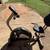 Exercise bike 2 thumbnail