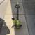 Ryobi One + 18V 13” String Trimmer 1 thumbnail