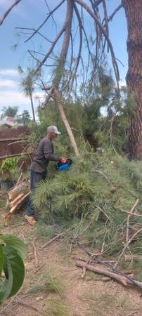 Land clearing  🌿🍀🍃 1
