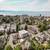 565 Residences - 1 Bedroom - Available October 1st 23 thumbnail
