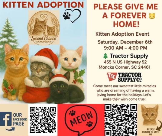 RAIN DATE CHANGE KITTEN ADOPTION EVENT 1