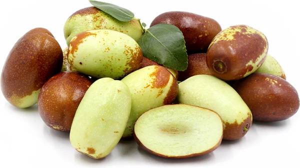 GA-866 Jujube, Ice Cream Banana, Rare Figs, Loquat, Yerba Mate &.... > 1