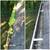 Professional Gutter Cleaning & House Washing / Pressure Washing 15 thumbnail