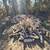 Firewood for sale 1 thumbnail