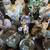 Bunch Angle/Globe Music Boxes 2 thumbnail