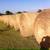 Large Good Clean Hay Bales 1 thumbnail