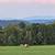 42.43 Acres 1 thumbnail