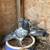 Pigeons 10 thumbnail