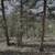 1.3 partially developed acres in Bailey Colorado on Buton Street 13 thumbnail