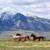 40 acres, pasture, stream, private, barn, meadows, mountains 1 thumbnail