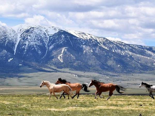 40 acres, pasture, stream, private, barn, meadows, mountains 1