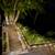 6 bdrm, 21/2 bthrm Ocean Front home for rent, WONT LAST Riverside 4 thumbnail