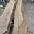 Quarter Sawn Red Oak 10 thumbnail
