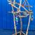Macaw parrot perch - custom made ! A great socializer for mr Birdee !! 22 thumbnail