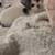 Cat 1 thumbnail