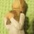 Willow Tree Commemorate 2018 Hand Painted Sculpture Figures 4 thumbnail