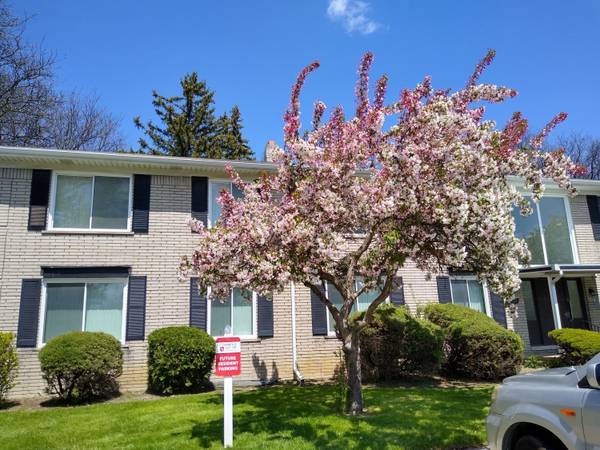 Window Coverings, Laundry Facility, 1BD 1BA 1