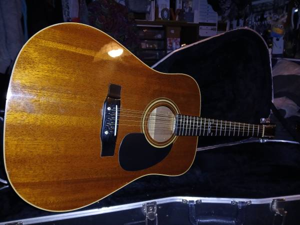 12 String Guitar 1