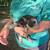 Kune Kune Piglets (June 2026) 10 thumbnail
