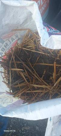 Rabbit/bunny manure and straw bags 1