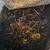 2,000 Composting worms (Red Wigglers) 3 thumbnail