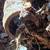 PLUMBER, drains cleaned, sewer service ,honest repair work 18 thumbnail