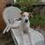 Engli pointer/terrier mix 4 thumbnail