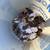 Guinea fowl keets 3 thumbnail