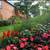 Lush Green Community! Tranquil and Charming, Immediate Availability 2 thumbnail