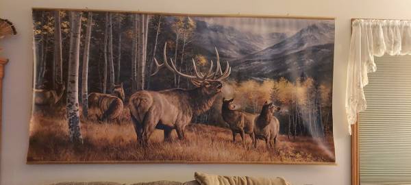 Elk wall mural 1