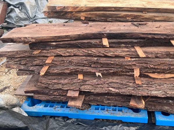 Black Cherry Black Walnut Curly Maple Slabs Boards Lumber - general for sale - by owner