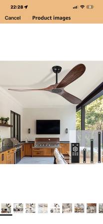 Ceiling fan 1