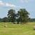 4x5 round bales of hay 9 thumbnail