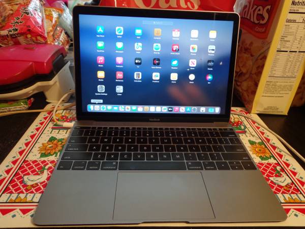 Apple MacBook  A1534-13.3"-1.2ghzM3,256gb,8gb,Webcam,Wireless,-2017 - $275 (concord / pleasant hill / martinez)63471134124035122
