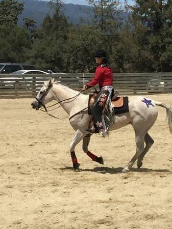 Stall cleaning services 1