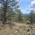000 Dick Mountain Dr in Burland - 2.2 Acres! 3 thumbnail