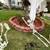Complete Halloween Decorations 6 thumbnail