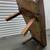 Antique / Vintage RUSTIC Wood Coffee Table Wooden Salt Lick Cobbler 18 thumbnail