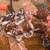 Swedish Flower Chickens 1 thumbnail