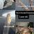 cats 1 thumbnail
