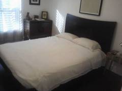 Interim Solo Holiday Roommate 1