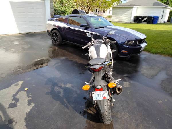 MUSTANG 2011 1