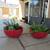 Pair Of Red Garden Pots With Succulents 1 thumbnail