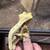 Gecko collection 1 thumbnail