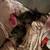 Kittiens 1 thumbnail