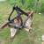 HD 2 BOTTOM PLOW 2 thumbnail